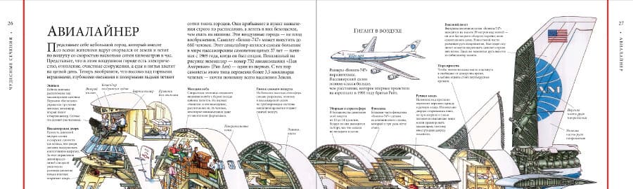 Чудесные сечения Стивена Бисти