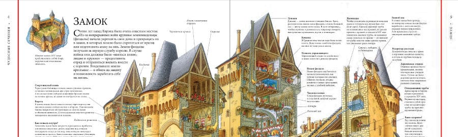 Чудесные сечения Стивена Бисти