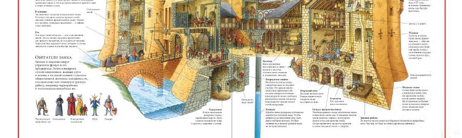 Чудесные сечения Стивена Бисти